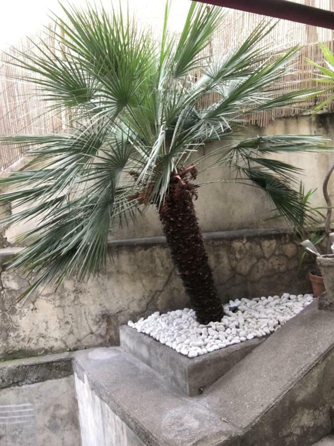 Nice Grand appartement face jardin Extérieur photo